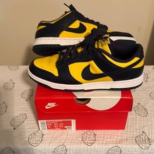 Mens Nike Dunk Low Retro